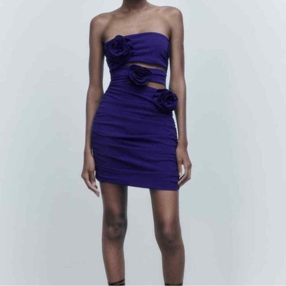 Zara Roses & Cut Outs Mini Party Dress - Picture 9 of 11